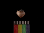 L_V23d6245 A7q1168.1 U829 dM shell f492
